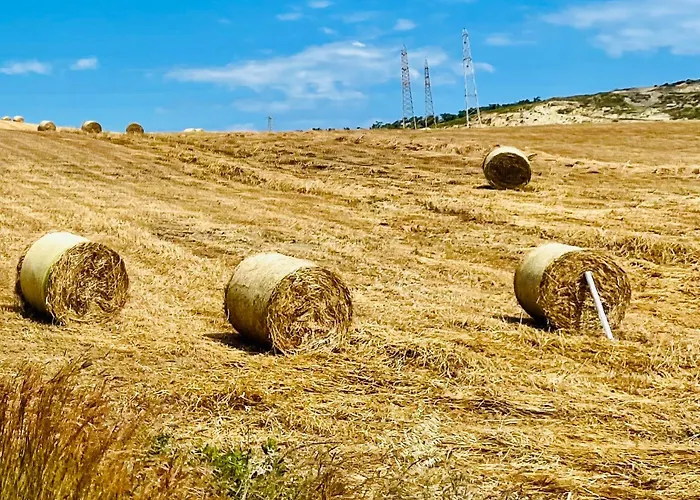 La Pizzuta Del Principe Fasana (Crotone)